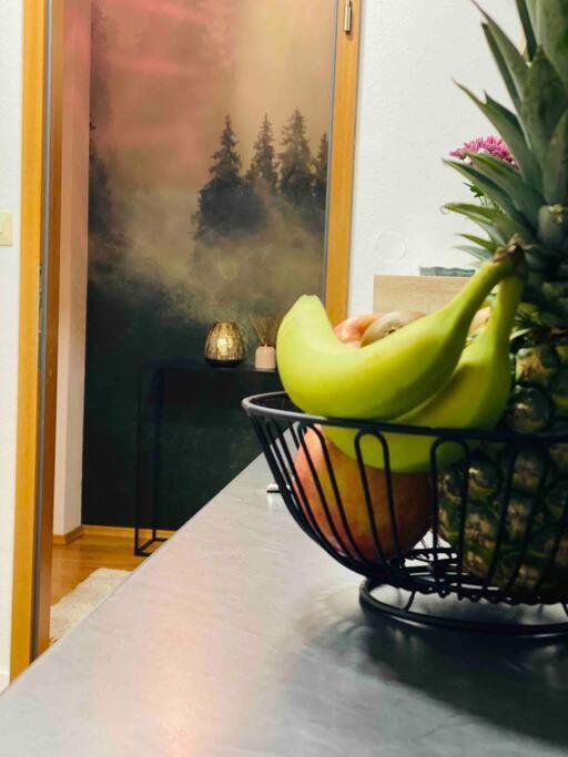 Ruhige Wohnung Im Schwarzwald Villingen-Schwenningen Εξωτερικό φωτογραφία
